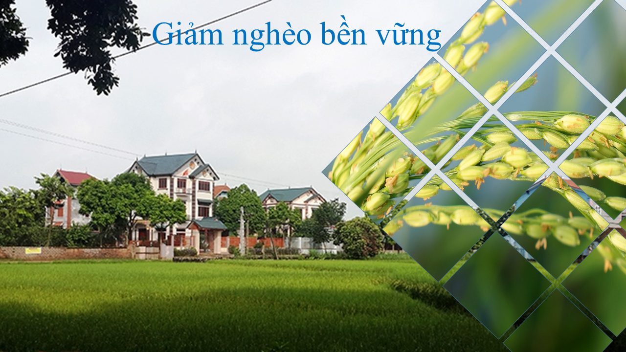 Thông báo vận động quỹ "Vì người nghèo" năm 2023 của xã Kim Thư